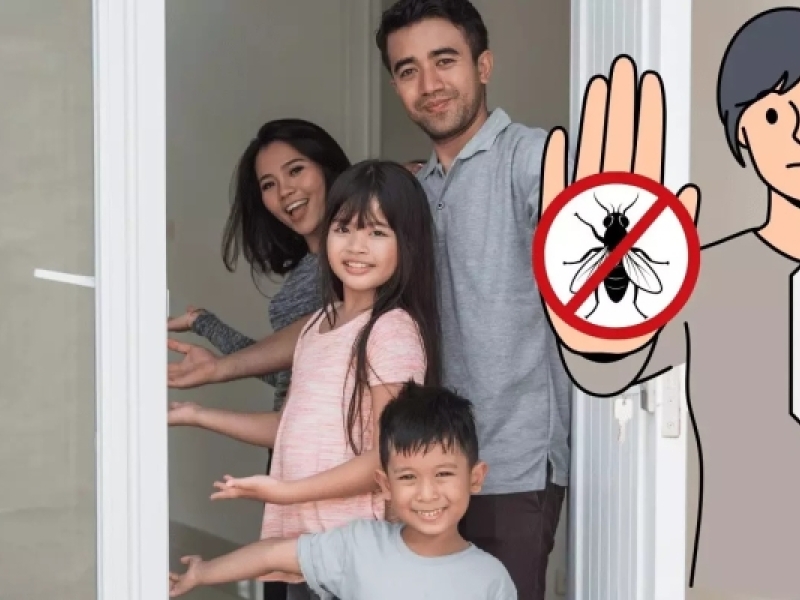 Comment Ne Plus Avoir de Mouches Dans la Maison