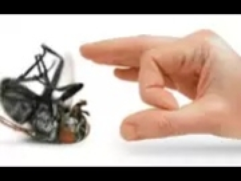 Rideau contre les mouches